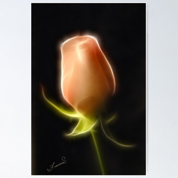 Item preview, Perfect Rose With Fractalius Filter designed and sold by Francine Dufour Jones.
