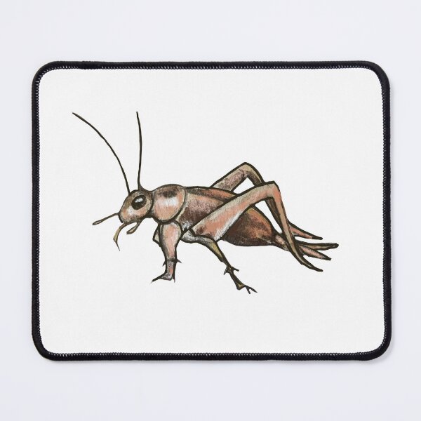 Item preview, Cricket designed and sold by Allison Campbell.