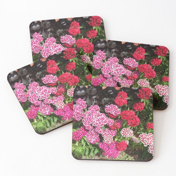 Item preview, Dianthus (Sweet William) Flowers designed and sold by Floral-Art.