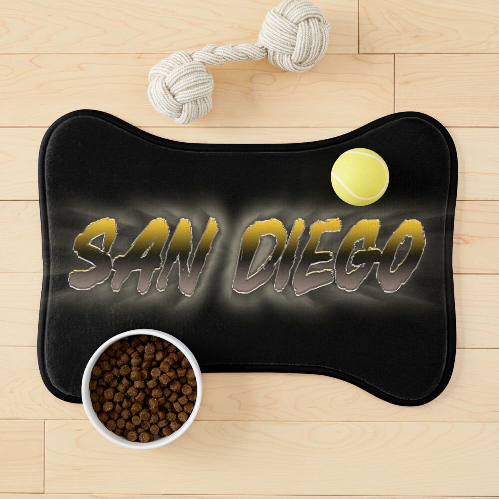 San Diego City Connect A Poster for Sale by Veraukoion