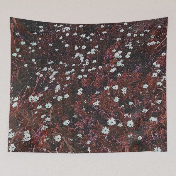 Item preview, Red Daisies designed and sold by jennyjeffries.