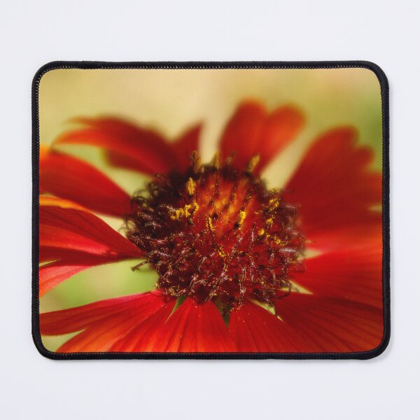 Item preview, Silent Embers of Beauty designed and sold by Vicki Pelham.