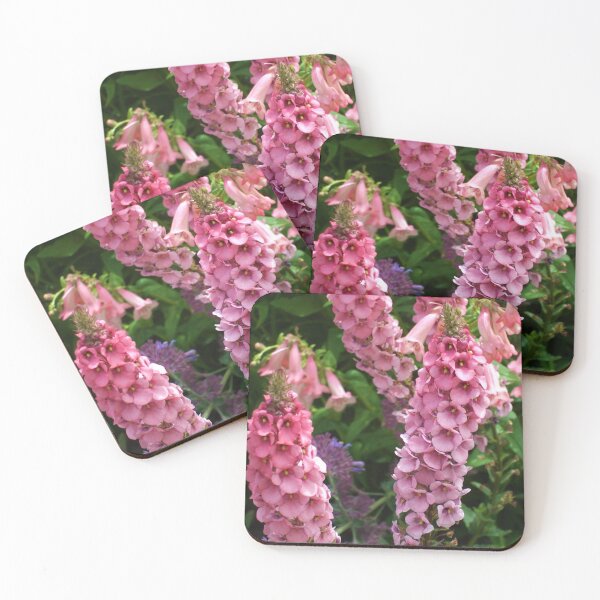 Item preview, Diascia flowers designed and sold by Floral-Art.