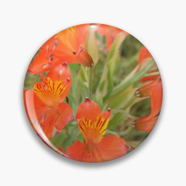 Item preview, Alstroemeria Ligtu Orange (peruvian lily) designed and sold by Floral-Art.