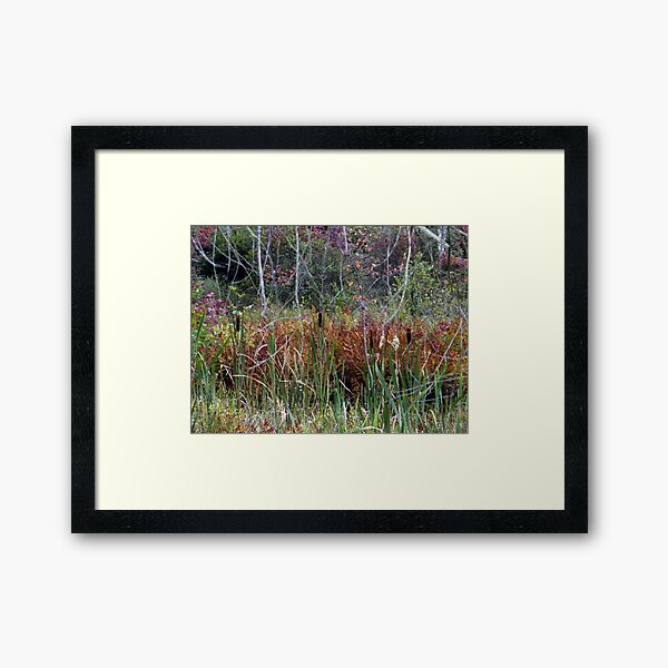 All The Colors Framed Art Print