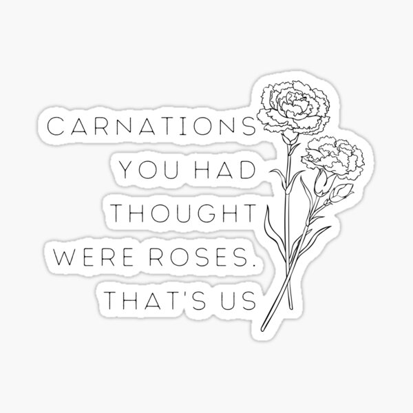 "Taylor Swift Maroon Carnations you had thought were roses, that's us
