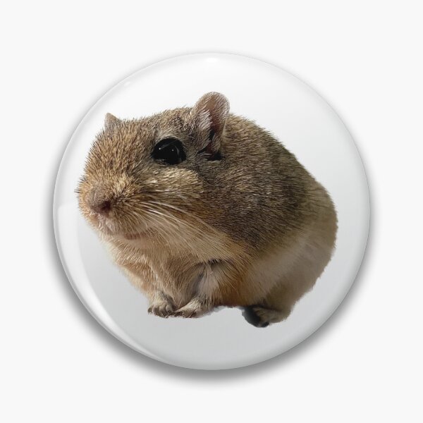 Item preview, My Brown Gerbil Named Rex designed and sold by GreasyGerbil.
