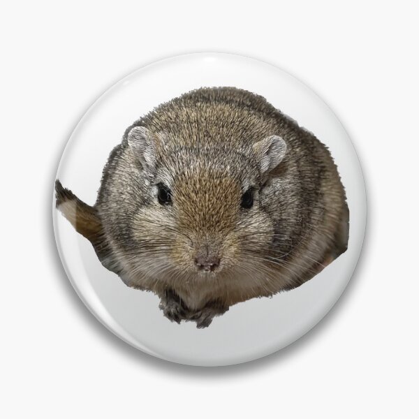 Item preview, My Brown Gerbil Named Rex 2 designed and sold by GreasyGerbil.