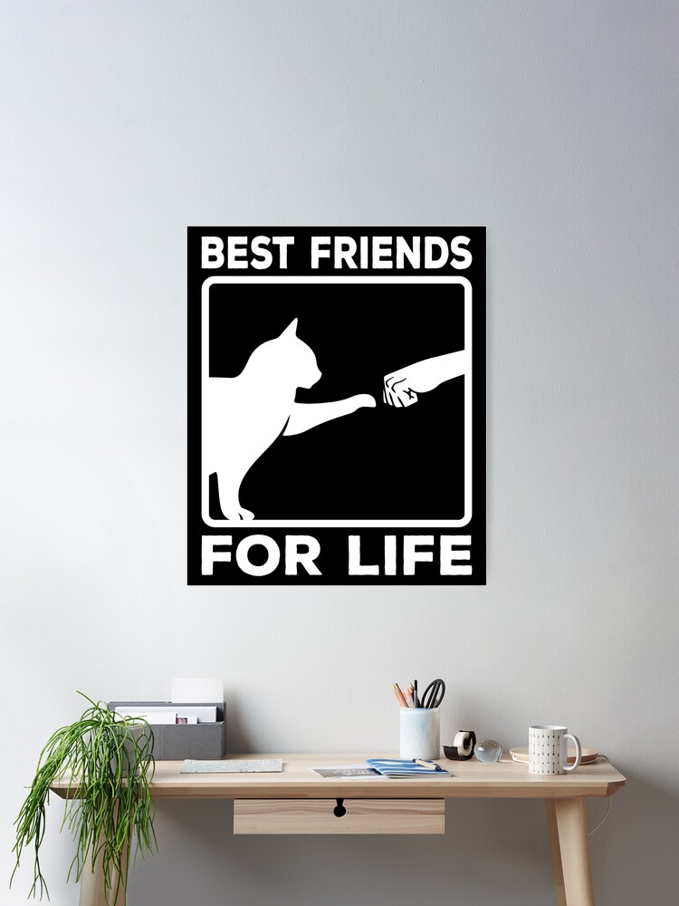 Best friends for life cat shirt hotsell