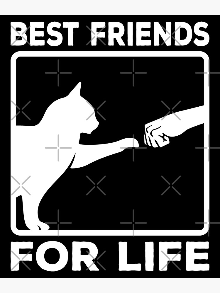 Cat Owner T Shirt Best Friends for Life Poster