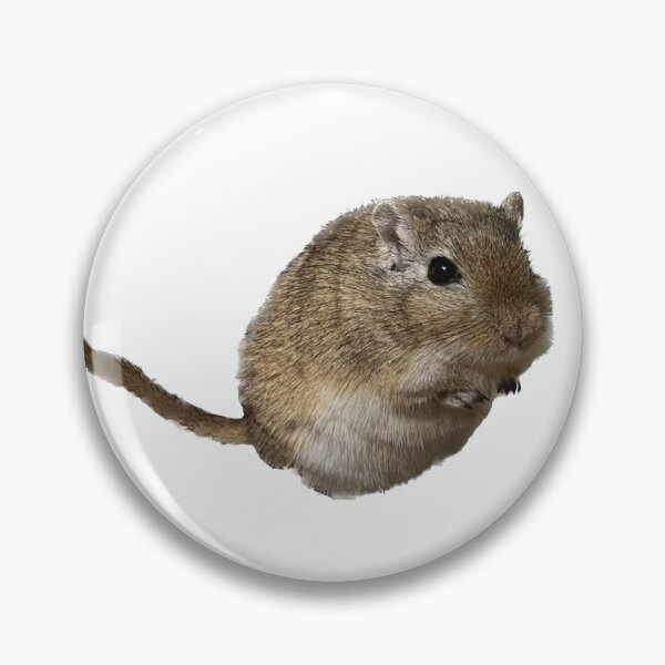Item preview, My Brown Gerbil Named Rex & His Tail designed and sold by GreasyGerbil.