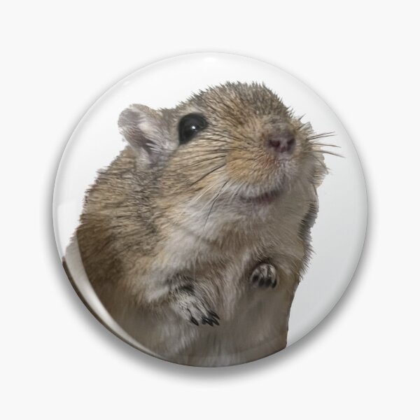 Item preview, My Brown Gerbil Named Rex designed and sold by GreasyGerbil.