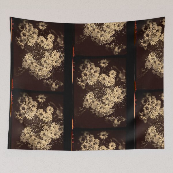 Item preview,  Beautiful Daisies Sepia Photography Design designed and sold by EarthArtDesigns.