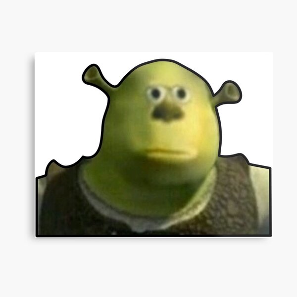 Shrek Face Meme Photographic Print for Sale by mylifeasgaia