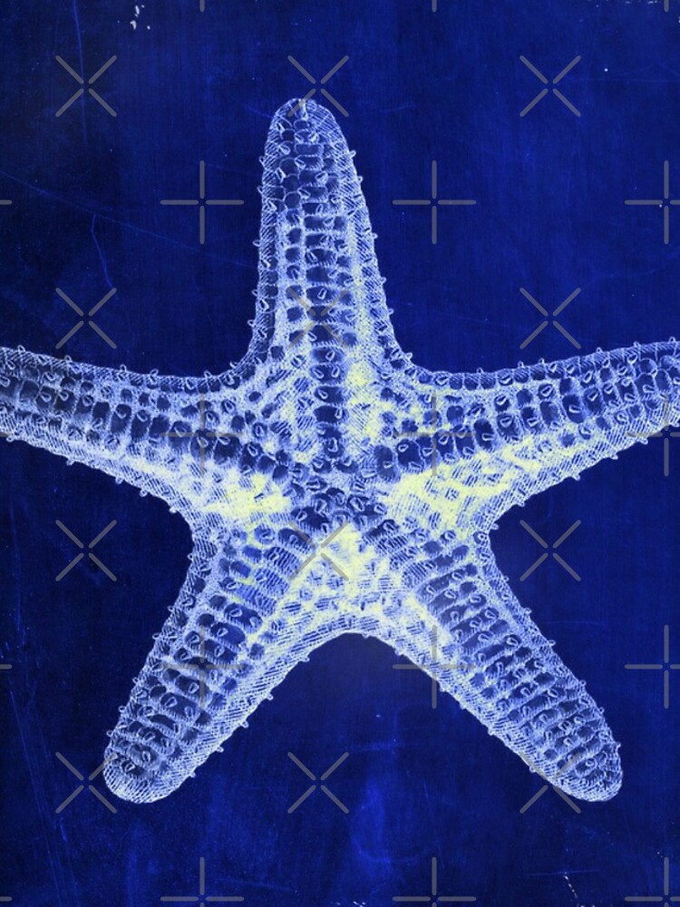 Disover coastal seaside ocean navy blue beach chic starfish | iPhone Case