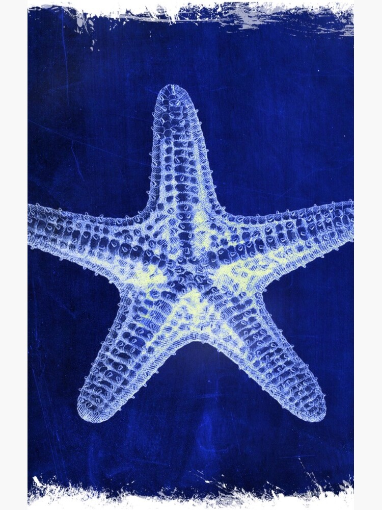 Disover coastal seaside ocean navy blue beach chic starfish | Samsung Galaxy Phone Case