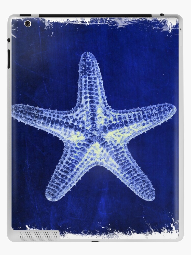 Whitewashed Starfish Pillow