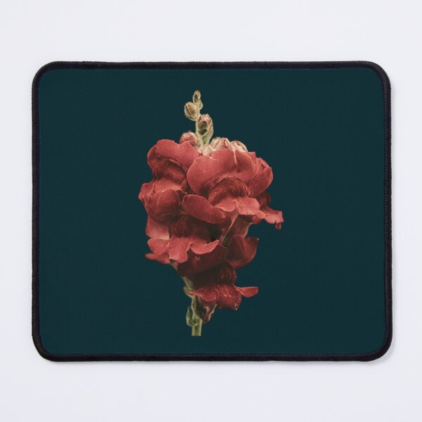 Item preview, vintage snapdragons (1) designed and sold by mtnappar.