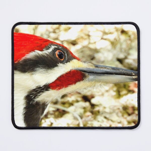 Item preview, Pileated Woodpecker designed and sold by Jeffrey Mask.