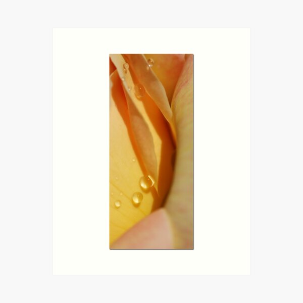 Aperçu de l'œuvre Honey Do créée et vendue par Chet  King.
