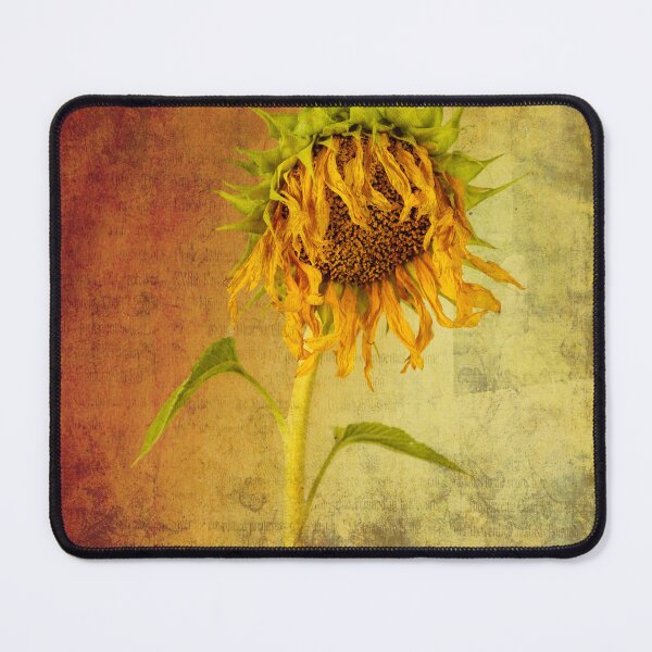 Item preview, Dying Sunflower 1 designed and sold by Images by Chris de Blank.