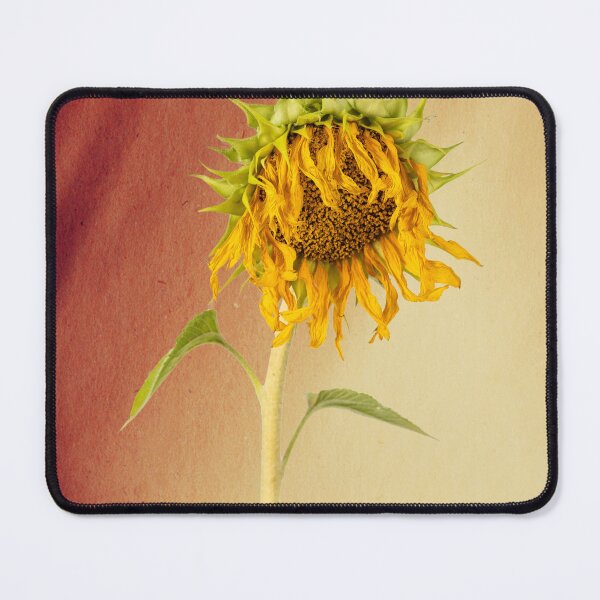 Item preview, Dying Sunflower 2 designed and sold by Images by Chris de Blank.