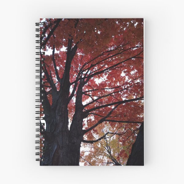 Item preview, Fall tree photography  designed and sold by Artistkhg.