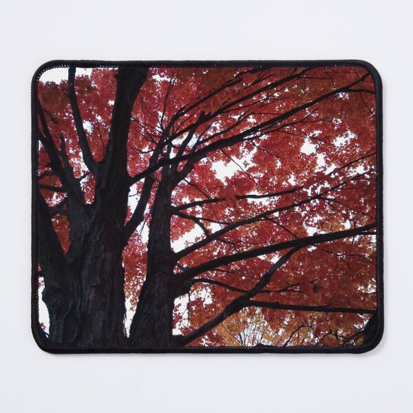 Item preview, Fall tree photography designed and sold by Artistkhg.