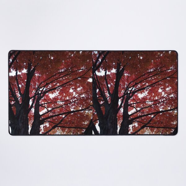 Item preview, Fall tree photography  designed and sold by Artistkhg.