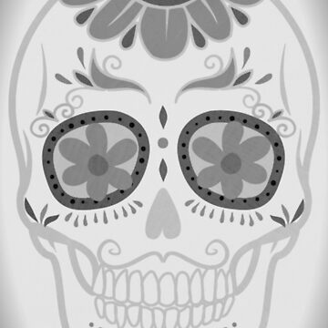 Artwork thumbnail, Kansas 620 - The Captain of Grey-Skull by kinkatstyle