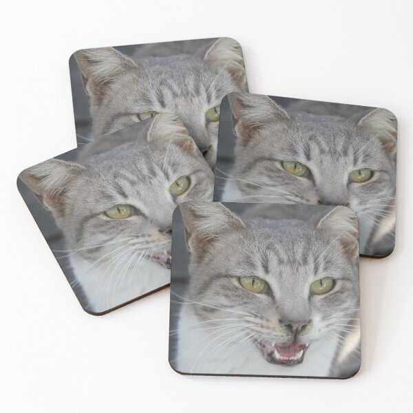 Item preview, cat by kiti levi designed and sold by kiti levi.