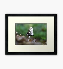 Bad Hair Day? Framed Print