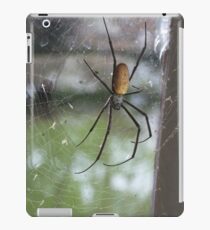 Spinne, Spinne iPad-Hülle & Klebefolie
