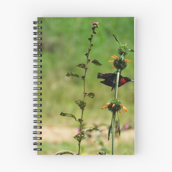 Item preview, Sunbird  designed and sold by Martina Nicolls.