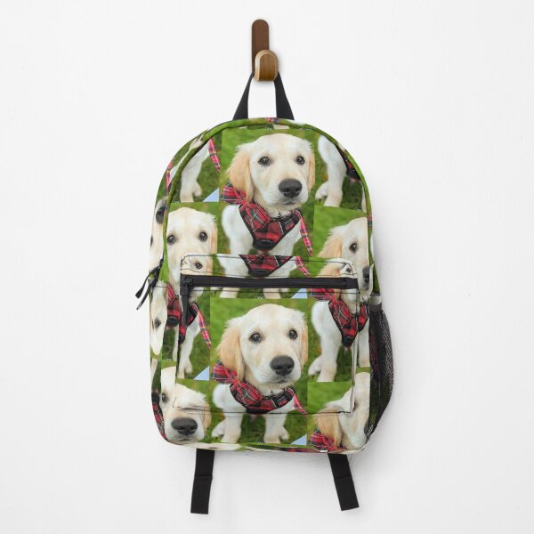 Item preview, Beautiful new golden retriever puppy designed and sold by Fluffycat2020.