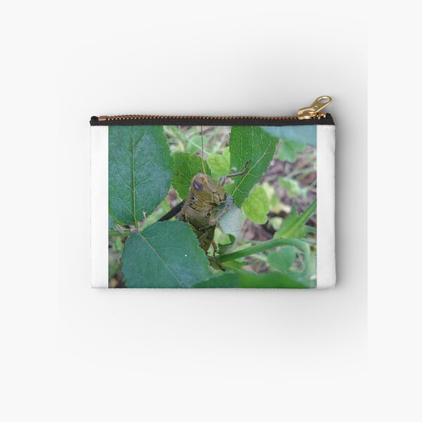 Item preview, Green grasshopper designed and sold by Lauryn1727.