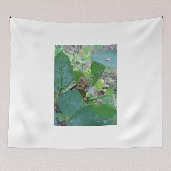 Item preview, Green grasshopper designed and sold by Lauryn1727.