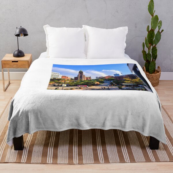 Item preview, Myeongdong Catholic Cathedral designed and sold by LNNNG.
