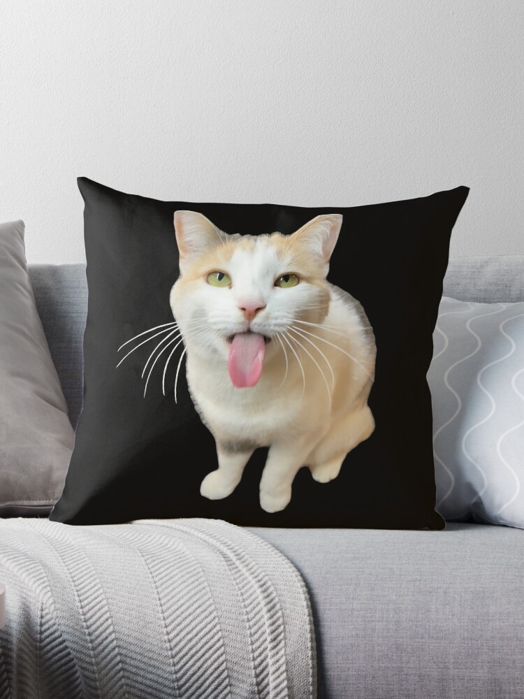 Cat Meme Pillow Cases, Meme Cushion Covers