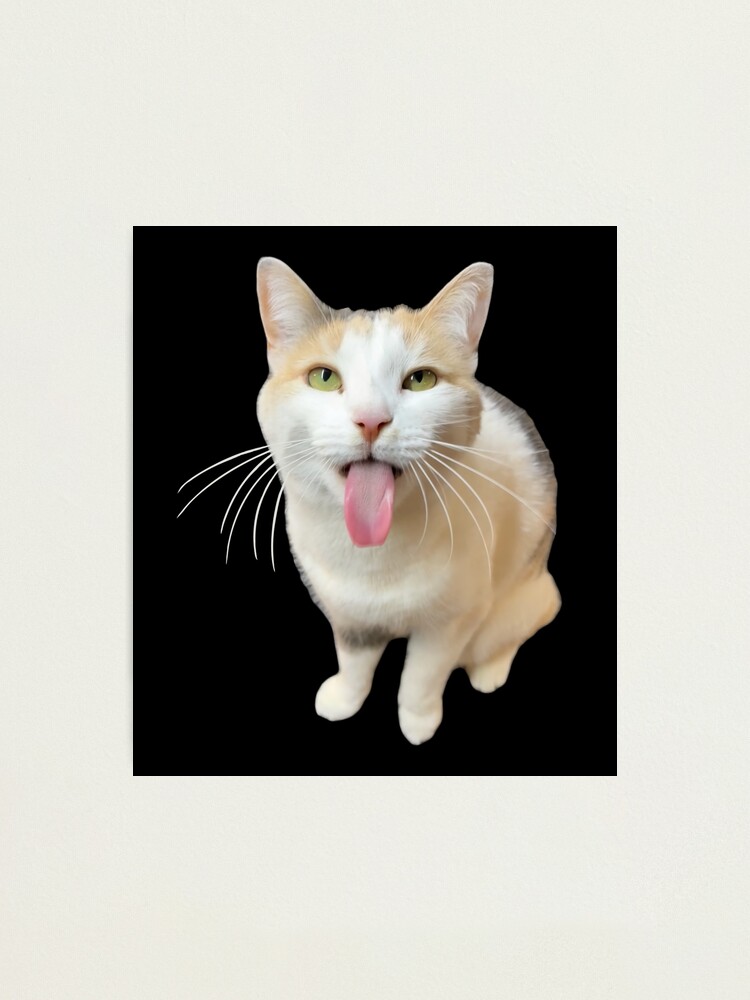 Funny Cat Coughing Meme Poster for Sale by fomodesigns