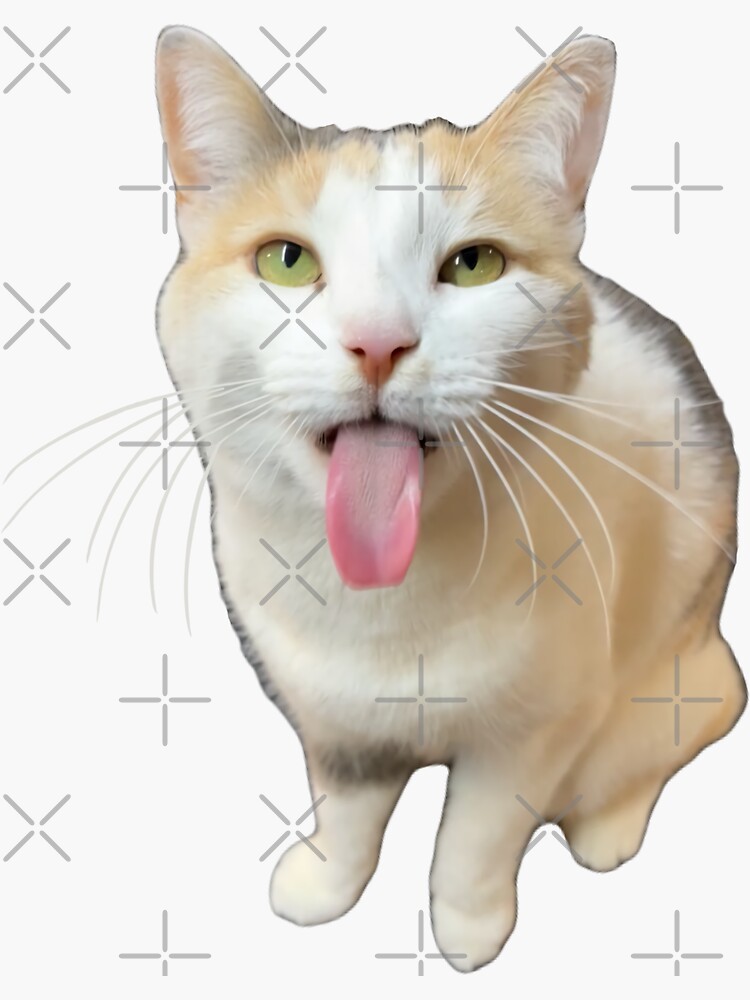 Bleh P Cat Meme (Not Doing That Cat)\