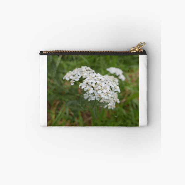 Item preview, Yarrow (Achillea millefolium) designed and sold by IOMWildFlowers.
