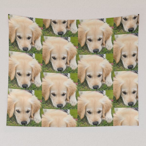 Item preview, Beautiful new golden retriever puppy designed and sold by Fluffycat2020.