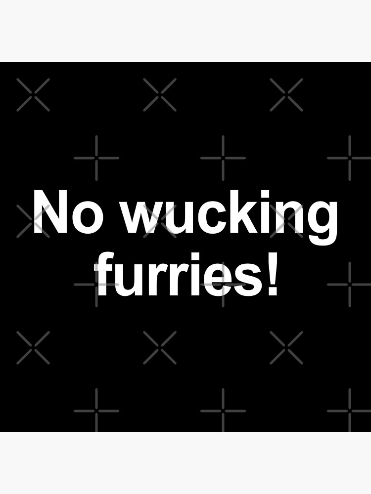 What is the meaning of 'no wucking furries' means 'no worries