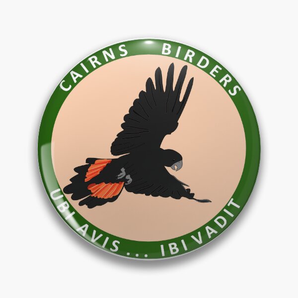Item preview, Red-tailed Black Cockatoo, Cairns Birders  designed and sold by CairnsBirders.
