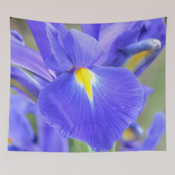 Item preview, Iris Petal designed and sold by lizdomett.
