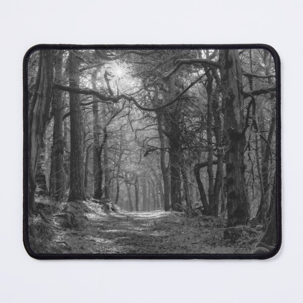 Item preview, Padley Gorge Woodland designed and sold by Alisonchambers2.