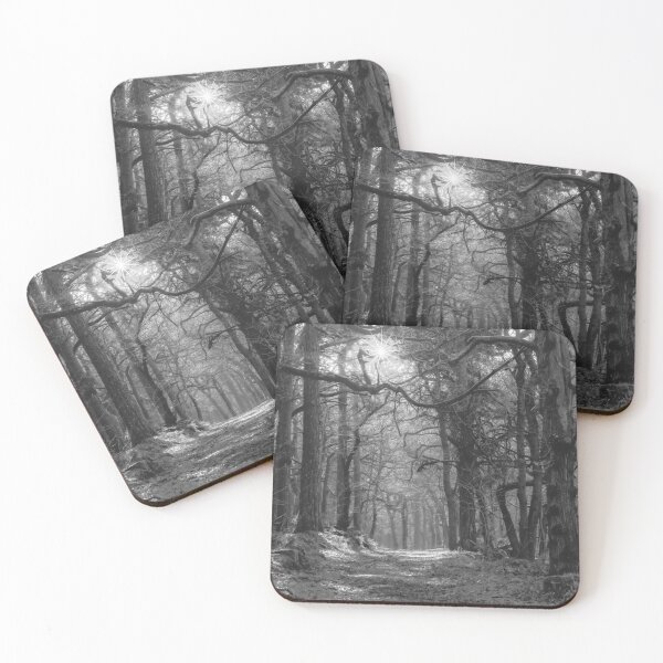 Item preview, Padley Gorge Woodland  designed and sold by Alisonchambers2.