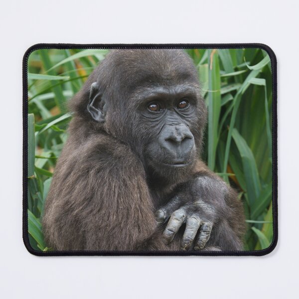 Item preview, Gorilla Baby designed and sold by rawshutterbug.