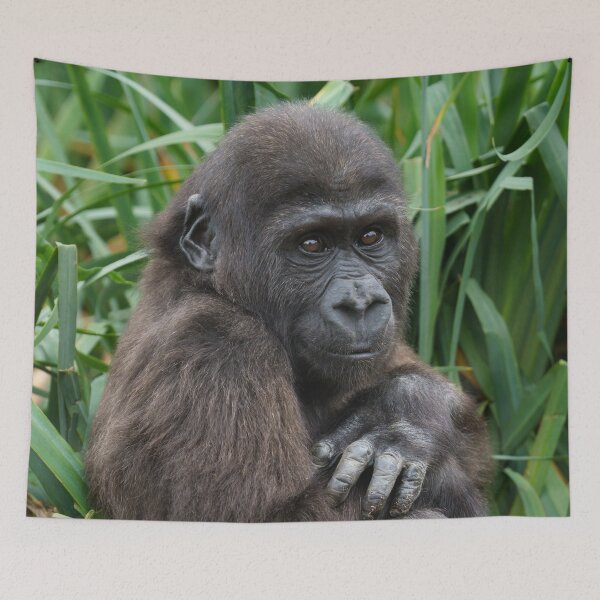 Item preview, Gorilla Baby designed and sold by rawshutterbug.